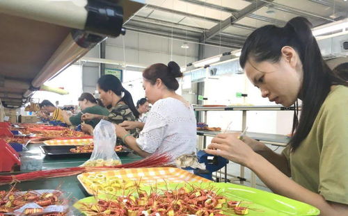 10月29日,平樂這場招聘會不容錯過